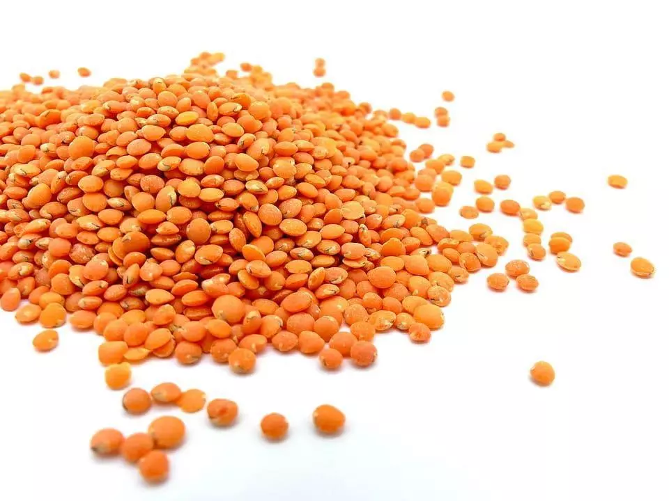 lentils