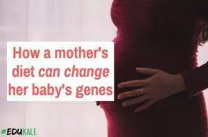 mother's diet baby's genes