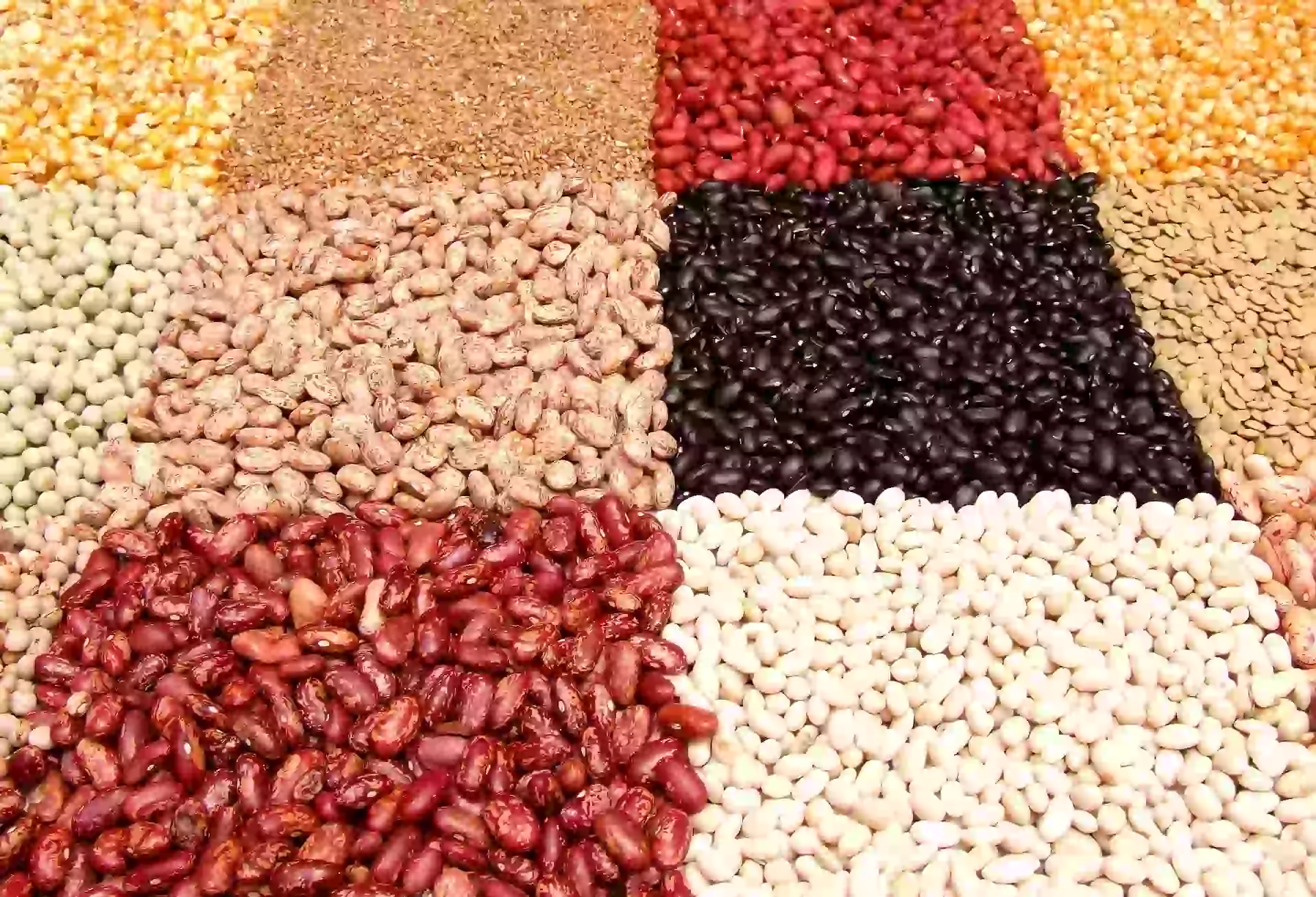 beans lentils healthy plant-based protein