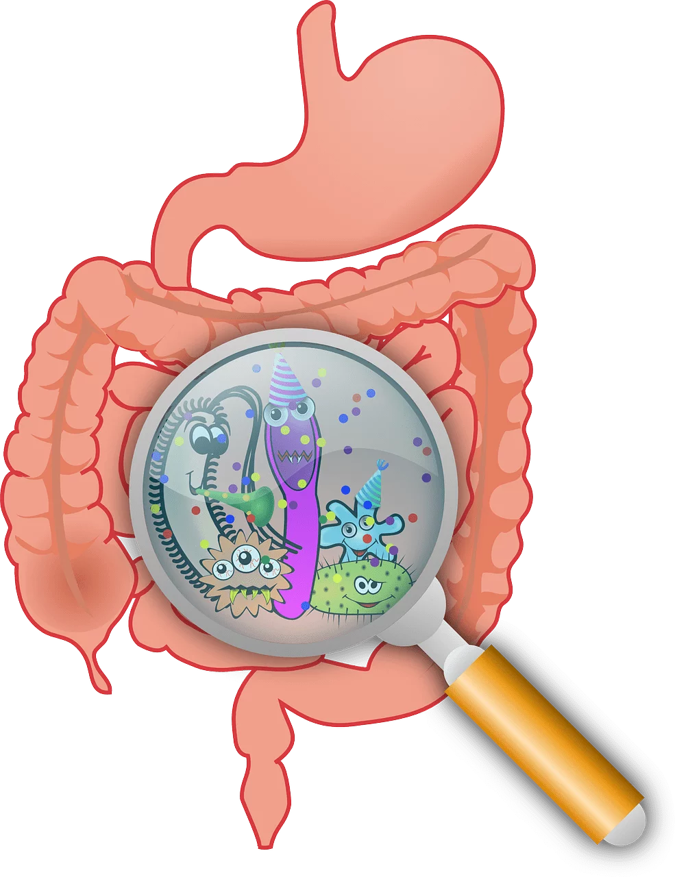 gut microbiome