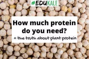 How much protein do you need and the truth about plant protein
