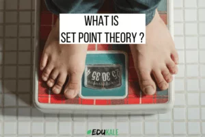 WHAT IS SET POINT THEORY