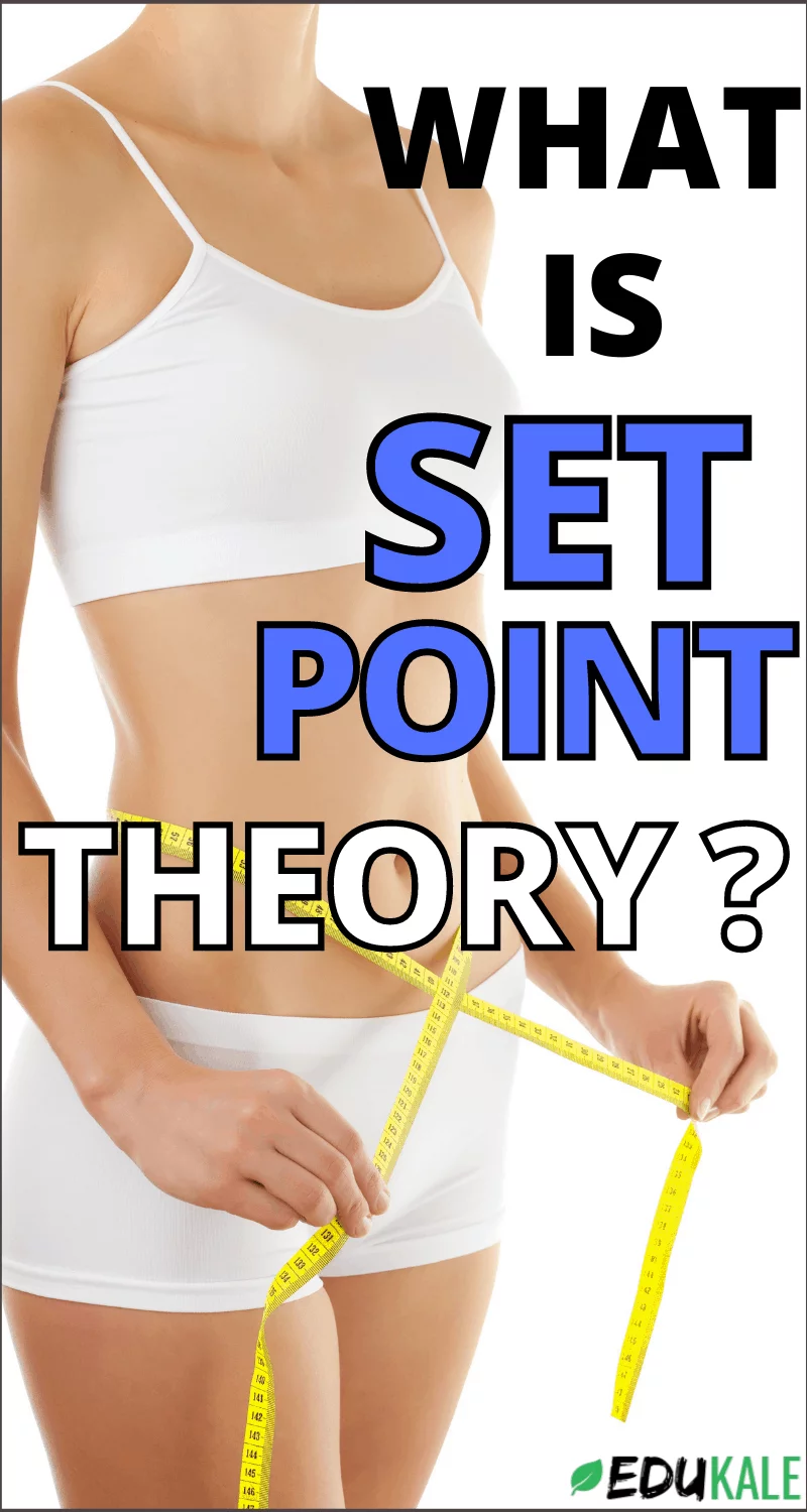 what is the set point theory