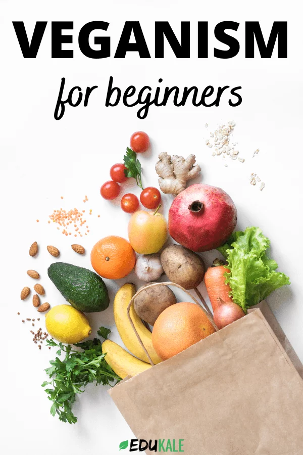 Veganism for beginners